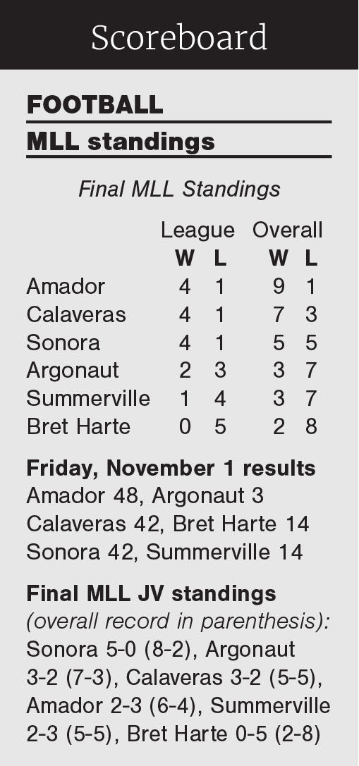 MLL football standings